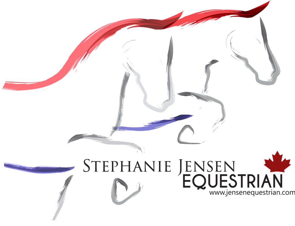 SJE Logo Transparent full vector